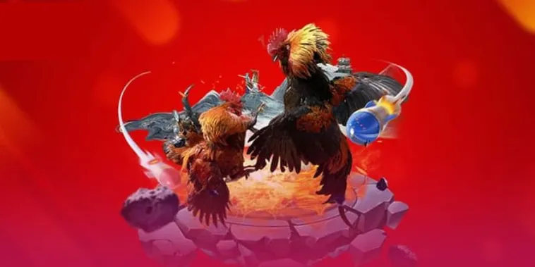 Đá Gà DP568 Sân Chơi Đẳng Cấp Cho Kê Thủ Chuyên Nghiệp